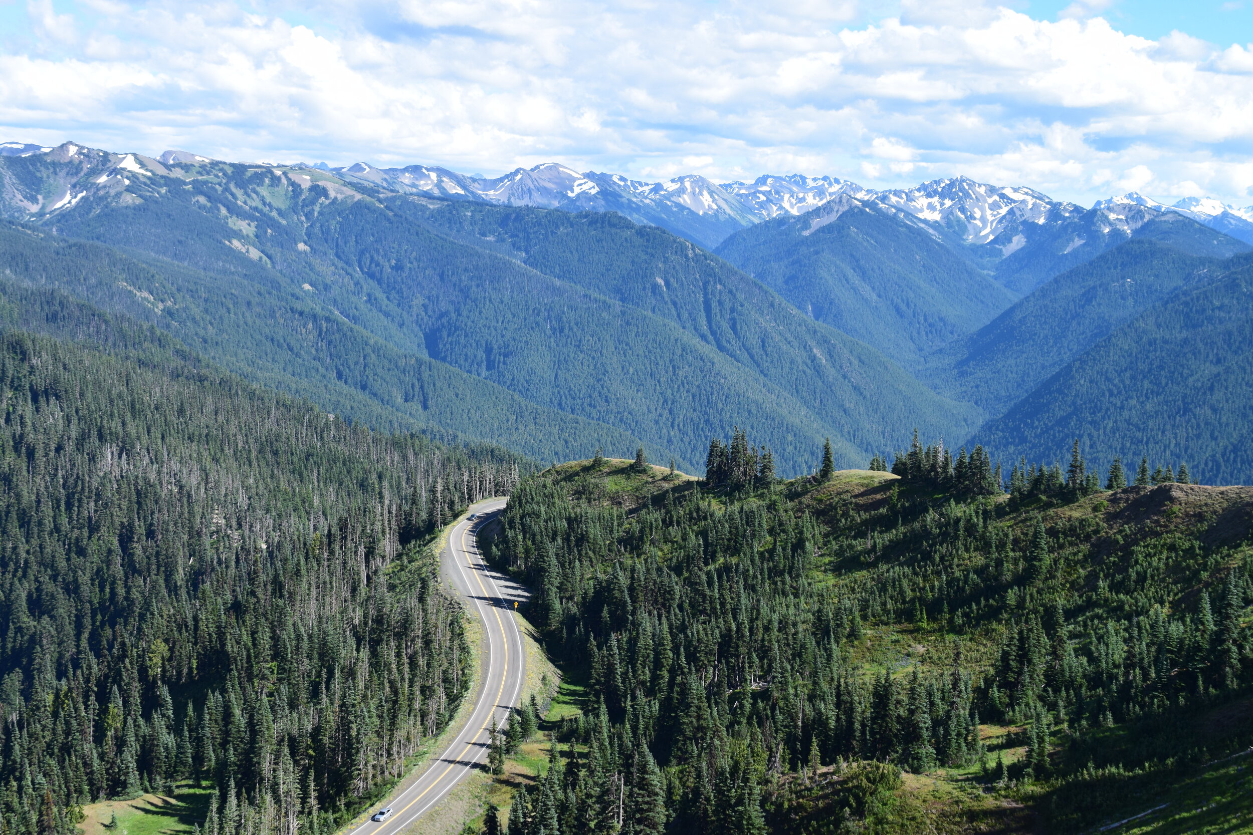 Group Tours | Olympic Hiking Co.